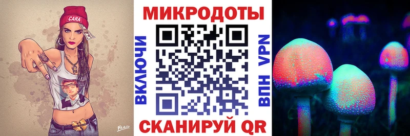 Галлюциногенные грибы мицелий закладка Каргополь